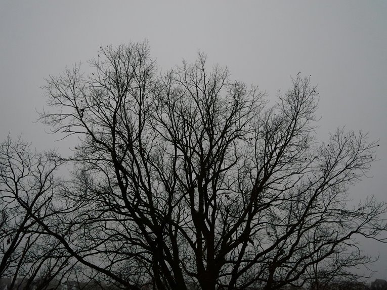 numeric governance structuring outline