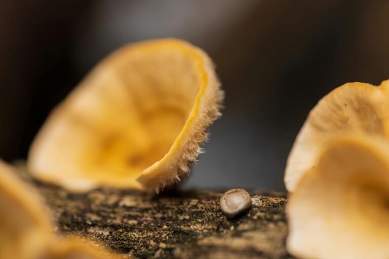 numeric traceability governance log